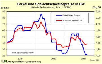  Die Ferkelnotierung konnte in den letzten Wochen bei 22 Euro/25-kg-Ferkel gestoppt werden. Angesichts des weiteren Rckgangs der Schweinepreise sind am kommenden Montag (KW 41) allerdings weitere Preisabschlge zu befrchten.