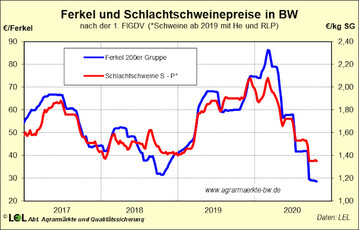 Fr die deutsche Schweinehaltung und insbesondere die Ferkelerzeugung entwickelt sich das Jahr 2020 zum Horrorszenario.