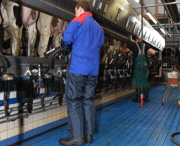 Europaabgeordnete sehen die Notwendigkeit, Milchbauern zu untersttzen.