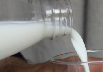 Lactalis will in Frankreich ab September 36 Cent pro kg Milch bezahlen. 