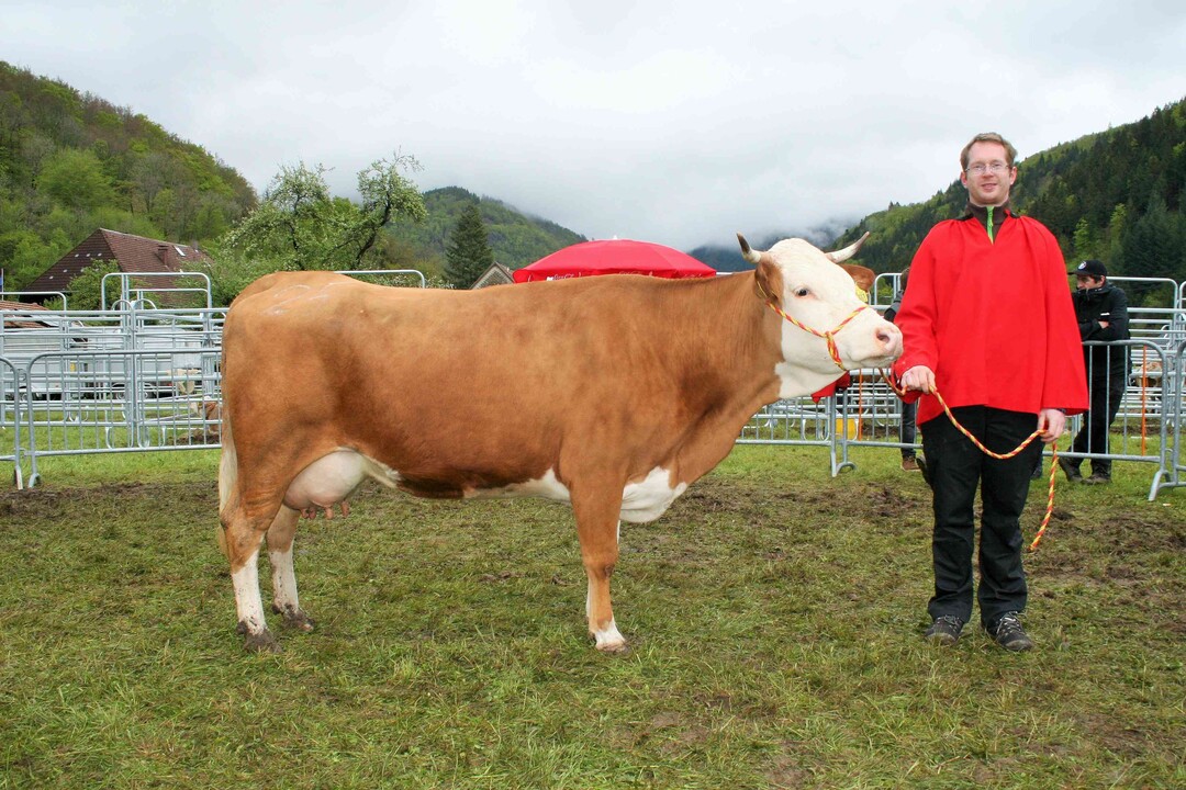 Mittelalter Res: Den Reservesieg landete die harmonische Labefit I Tochter Elfriede von Fridolin Wiesler aus dem Mnstertal.