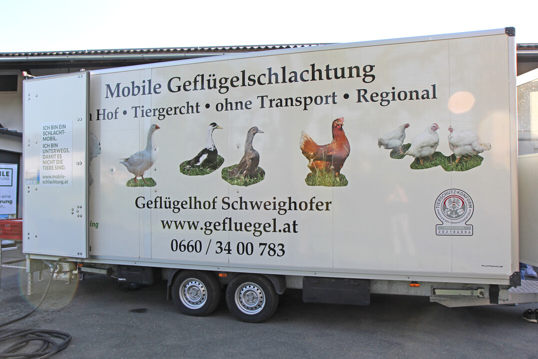 Die TiHo sucht noch nach Teilnehmern für das MuD Projekt zur (teil-)mobilen Schlachtung.