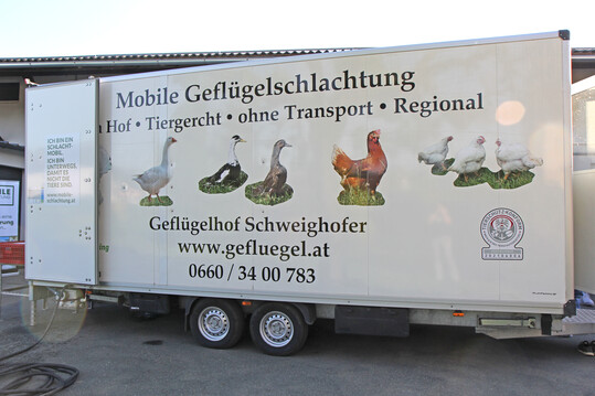 Die TiHo sucht noch nach Teilnehmern fr das MuD Projektzur (teil-)mobilen Schlachtung.