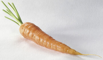 Natrlicher Hautschutz durch Carotinoide.