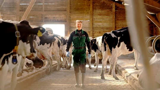   In der Kategorie Eutergesundheit setzte sich der Betrieb von Malte Borchers aus Friedeburg in Niedersachsen durch.
