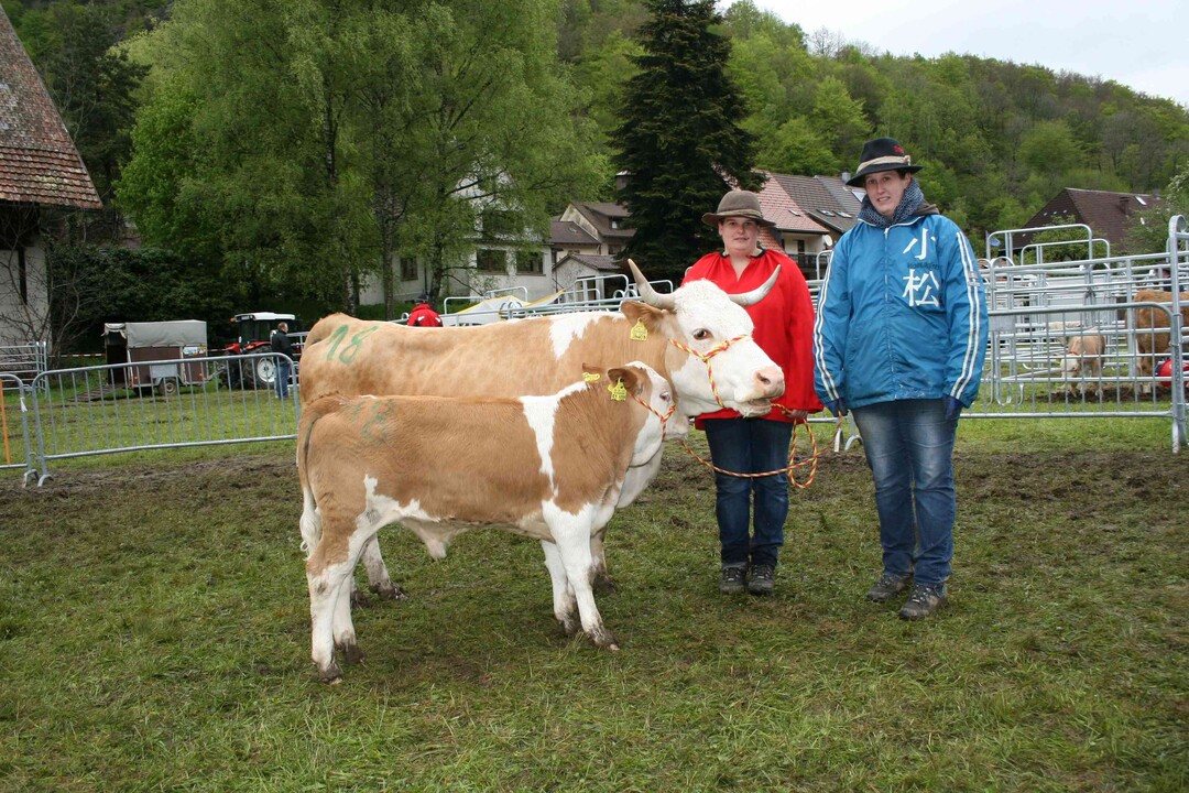 Zweitplatziert war das Gespann Gini und ihr Silharnibullenkalb, das Anton Kalt aus Albbruck- Birkingen prsentierte. Mit 75 Tagen wog es 123 kg, was sehr guten tglichen Zunahmen von 1.333g entspricht. Auch dieses Kalb erhielt die Note 8 in der Bemuskelung.