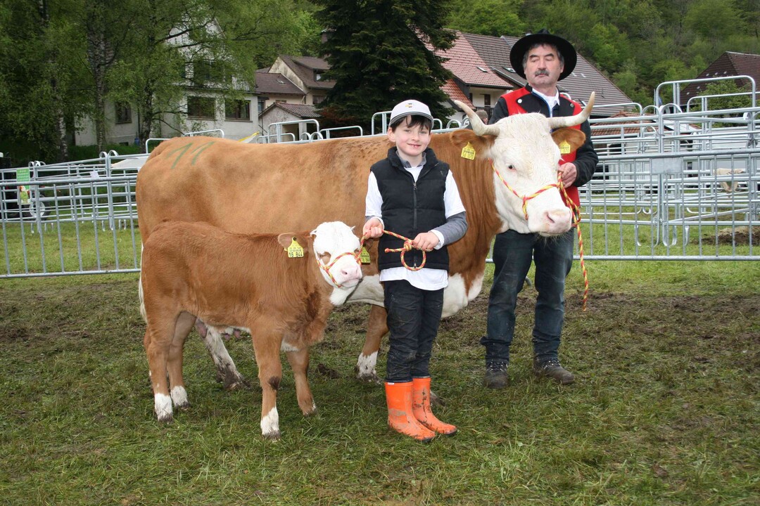 Mutterkuh BKSi: Bei den Mutterkhen mit Bullenklbern siegte Andreas Preiser aus Lenzkirch mit der Agafocktochter Agathe. Sie hatte ein quelliges 41 Tage altes Nafradosbullenkalb mit 84 kg Gewicht und 1.439 g tgliche Zunahmen bei Fu, das mit 8 in der Bemuskelung benotet werden konnte. Agathe hat bereits zehnmal abgekalbt und wurde auch Siegerin in der Kategorie langlebigste Mutterkuh.