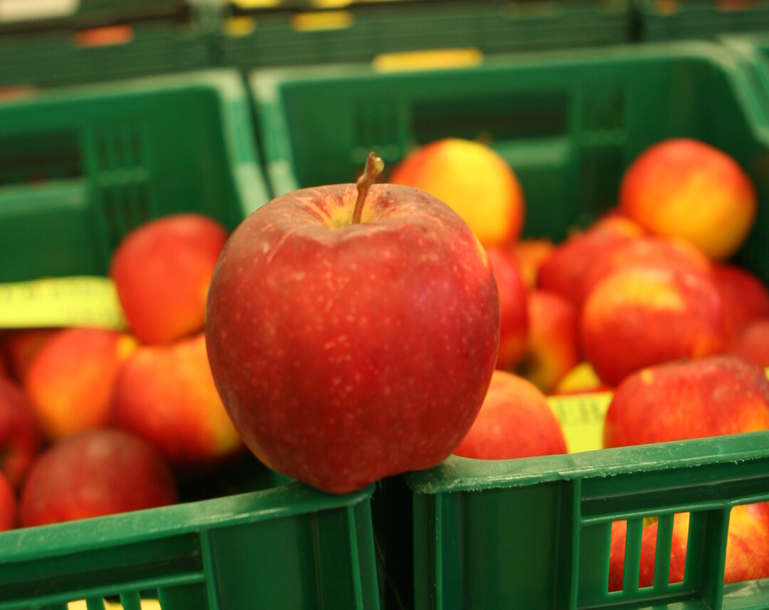 Um jeweils zwei Prozent soll laut Prognosen der WAPA die Apfel- und Birnenmenge in dieser Kampagne auf der Sdhalbkugel steigen.  