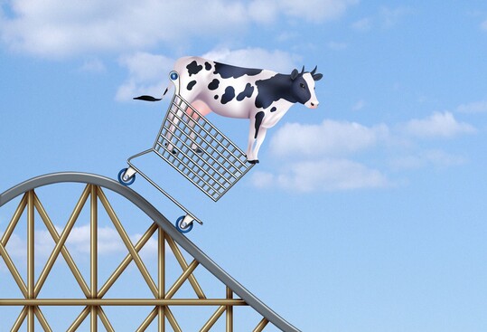 Die Preise fr Milch fahren Achterbahn Die Preise fr Milch fahren Achterbahn