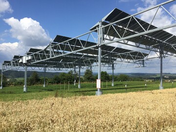 Grner Strom von Acker