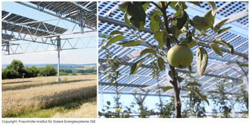 Beispiele fr Agri-Photovoltaik