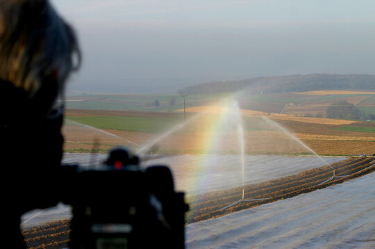 Sogar das Fernsehen war da, um seinen Zuschauern die Methode Eis gegen Frostschäden nicht vorzuenthalten.