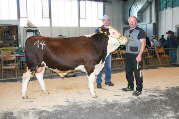 Ragos macht exterieurstarke Tiere. Ein Beispiel ist der Deckbulle Ragpirmar, ein Sohn, der auf dem Aprilmarkt 2017 zum Tageshchstpreis versteigert wurde. Roland Fichter aus St. Georgen-Oberkirnach bot ihn an, Hermann Lffler (links) aus Titisee-Neustadt-Jostal ist der neue Besitzer.