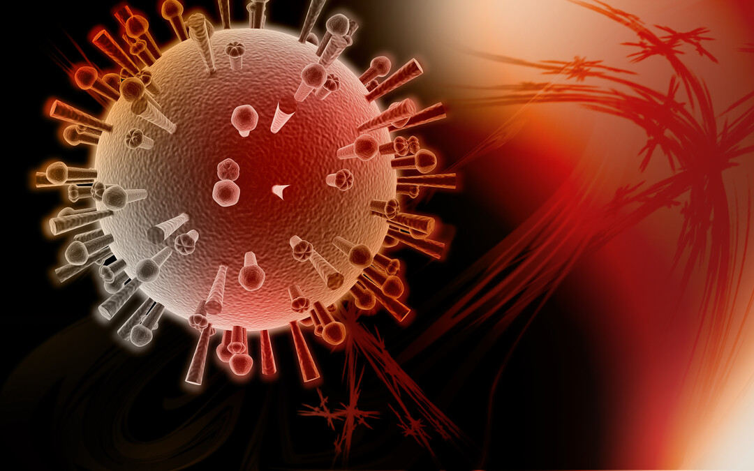 In einem Putenmastbetrieb in der Gemeinde Lewitzrand im Landkreis Ludwigslust-Parchim wurde das Geflügelpest-Virus H5N1 nachgewiesen.