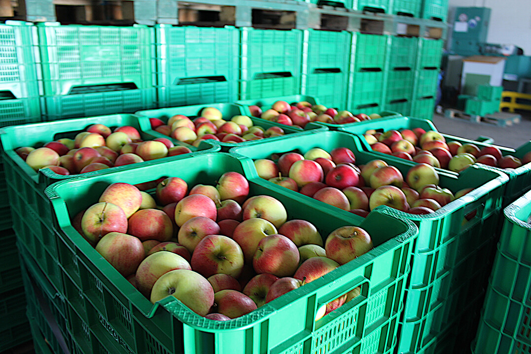 In wirtschaftliche Schwierigkeiten geratene Obstbaubetriebe sollen mit rund 340 Euro pro Hektar unterstützt werden, Hopfenbetriebe mit rund 370 Euro pro Hektar. Insgesamt 36 Millionen Euro stehen Deutschland aus dem dritten Hilfspaket der Europäischen Kommission zur Verfügung.