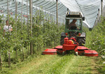 Beim Tag der offenen Tür am KOB-Modellbetrieb für Öko-Obstbau wurde auch ein neuartiges Mulchgeräte gezeigt, das einen Blühstreifen in der Mitte der Fahrgasse stehen lässt.