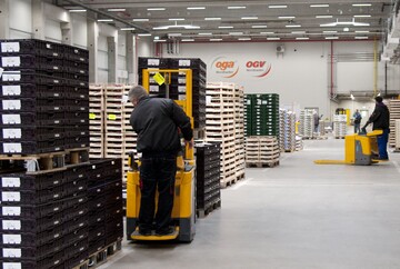 Rund 150 Beschftigte arbeiten whrend der Saison im Neubau der OGA / OGV Nordbaden e. G. in Bruchsal. Von hier aus wird das Bundesgebiet und angrenzende Ausland mit frischem Obst und Gemse beliefert.