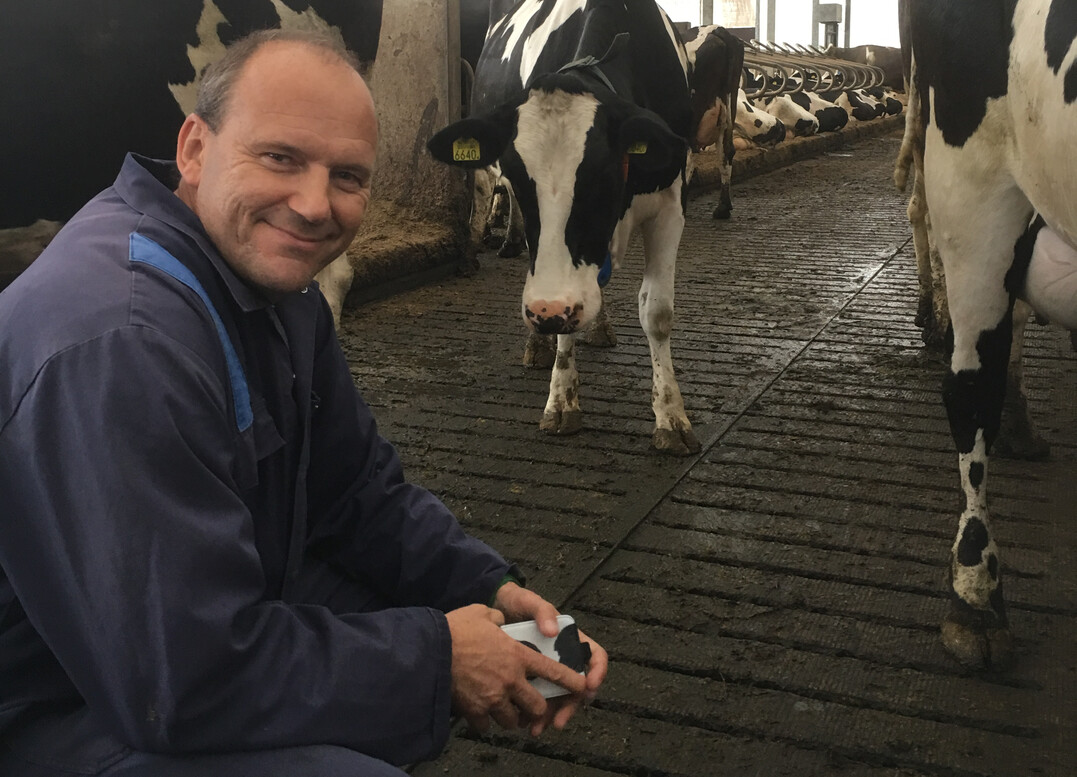 Damit es den Kühen gut geht: Der Tierarzt Dr. Peter Zieger beschäftigt sich intensiv mit den Haltungsbedingungen für Kühe. Sie zu verbessern, sei ihm ein wichtiges Anliegen, erklärte er im Gespräch mit BWagrar.