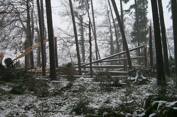 Zur Bewltigung der durch Extremwetterereignisse verursachten Folgen im Wald knnen kleine Waldbesitzer (unter 20 Hektar Waldbesitz) hhere Frderstze von bis zu 90 Prozent der nachgewiesenen Ausgaben erhalten.