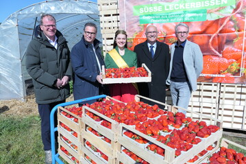 Freuen sich auf die Saison, v. l.: Markus Schneider, Minister Peter Hauk, Magdalena Ziegler, Franz Josef Mller, Prasident des Landesverbandes Erwerbsobstbau, und OGM-Vorstandschef Martin Bhr.