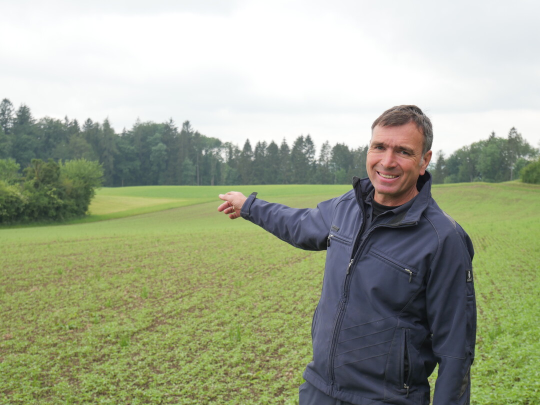 Hanf ist eine robuste Kultur, die Landwirt Gereon Güldenberg sichtlich Freude bereitet.