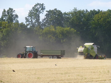 Die Erntesaison läuft auf Hochtouren