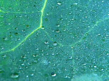 Biolandwirtschaft kann gut fr das Klima sein. 