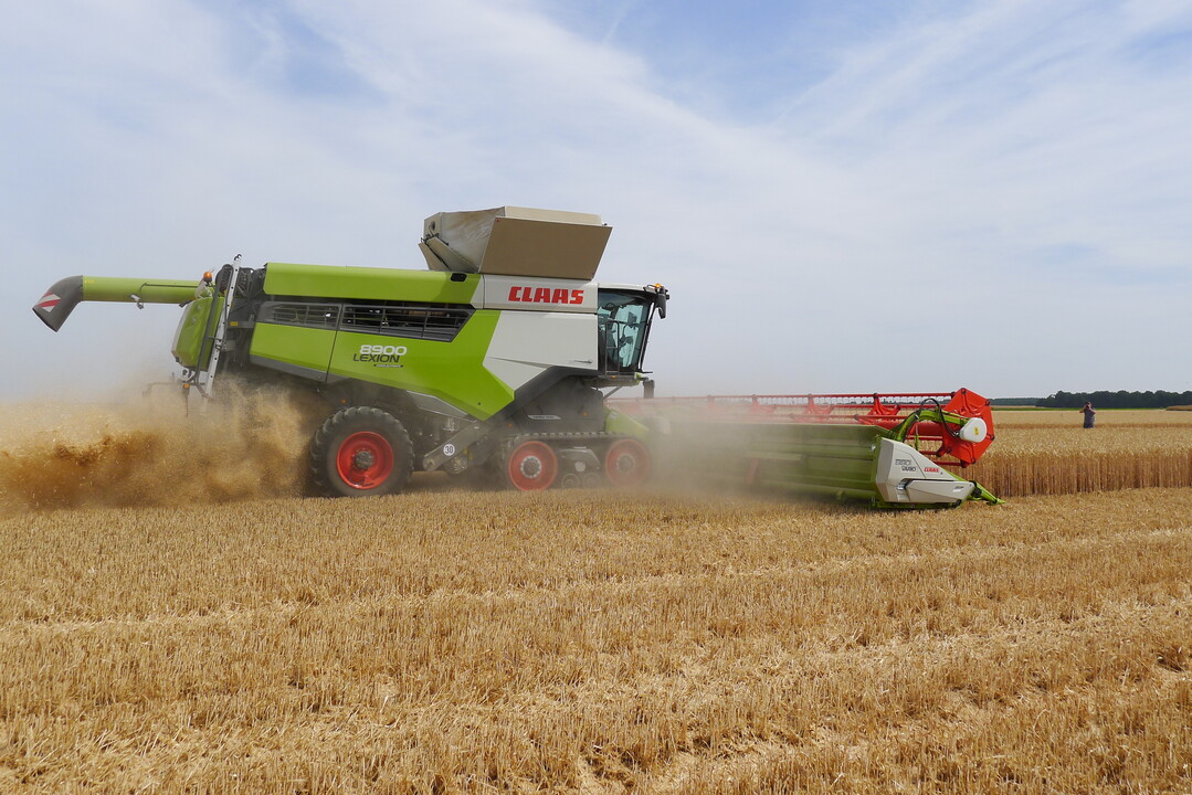 Der neue Lexion 8900 ist laut Claas der weltweit leistungsfhigste Mhdrescher. Ein 790 PS-Motor und optimierte Antriebe, ein neues Dreschwerk mit erhhter Drusch- und Abscheideleistung, bis 18.000 l Korntankvolumen, das sich mit 180 l/s an das Abfuhrfahrzeug abtanken lsst, und jede Menge funktional erweiterte Assistenzsysteme legen dafr den Grundstein. Rund 50 Prozent der Stckzahlen macht Claas in Segment der Hochleistungsdrescher.