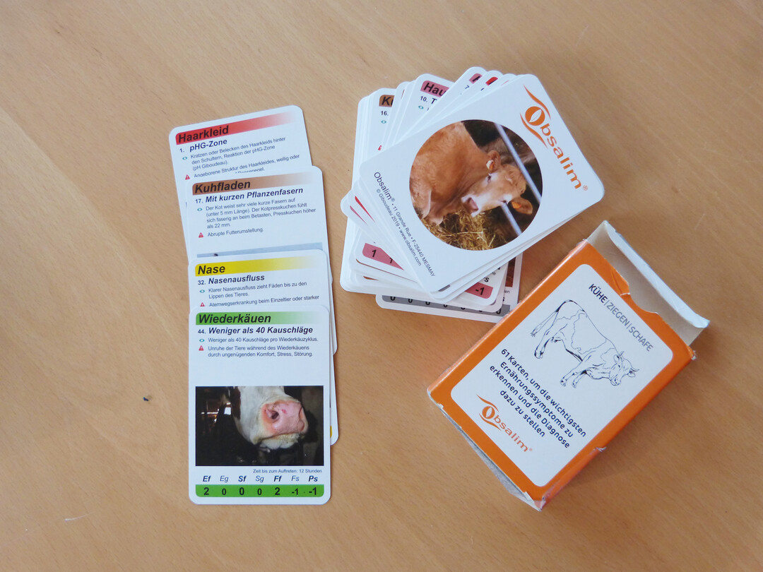 61 Karten in Spielkartengröße bilden die Obsalim-Symptome ab.