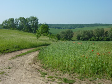 Für den Start des ÖkoNetzBW werden 30 Betriebe aus ganz Baden-Württemberg gesucht, die seit mindestens 5 Jahren ökologisch wirtschaften.