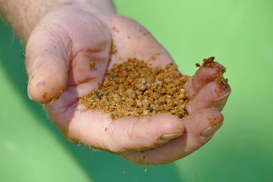 F�r den �koanbau zugelassener pflanzlicher Volld�nger und Bodenaktivator aus �sterreich.