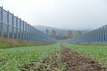 Agrifotovoltaik (APV) kann negative Effekte des Klimawandels auf dem Anbau abschwächen.