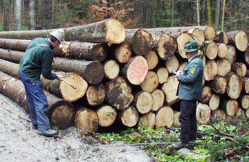 Bei der Umsetzung des Staatswaldmodells kann der Privatwald durch das Forstpersonal der Landkreise bewirtschaftet werden. Allerdings werden die anfallenden Gebühren für die Waldbesitzer deutlich steigen.