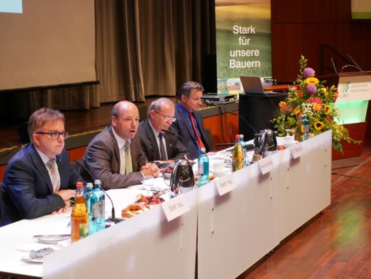 Hochkartiges Podium (von links): CDU-Fraktionschef Guido Wolf, Grnen-Agrarsprecher Martin Hahn, SPD-Agrarsprecher Thomas Reusch-Frey, FDP-Fraktionschef Dr. Hans-Ulrich Rlke.