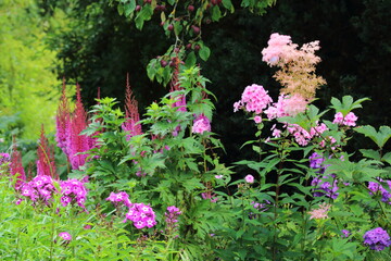 Phlox und Astilbe und Filipendula