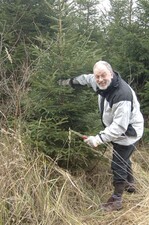 Weihnachtsbaum selbst "schlagen".