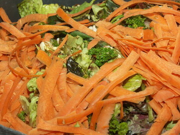 Speisereste als "Futter" fr die Biogasanlage