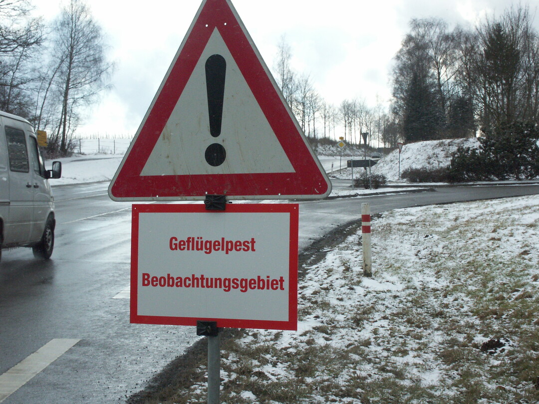 Nach den Fällen von Vogelgrippe am Bodensee wurde ein Maßnahmenplan beschlossen.
