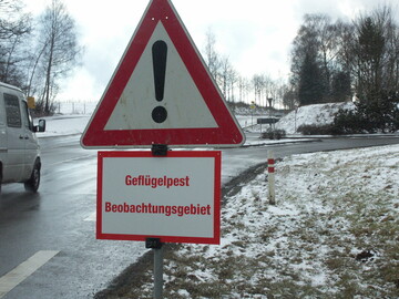 Nach den Fllen von Vogelgrippe am Bodensee wurde ein Manahmenplan beschlossen.