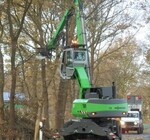 Baumpflege an Straßenrändern in der greenGain Pilotregion Friesland.