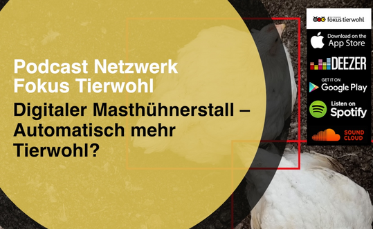 Eine neue Podcast-Folge des Netzwerks Fokus Tierwohl berichtet ber digitale Techniken und Anwendungen im Geflgelstall.