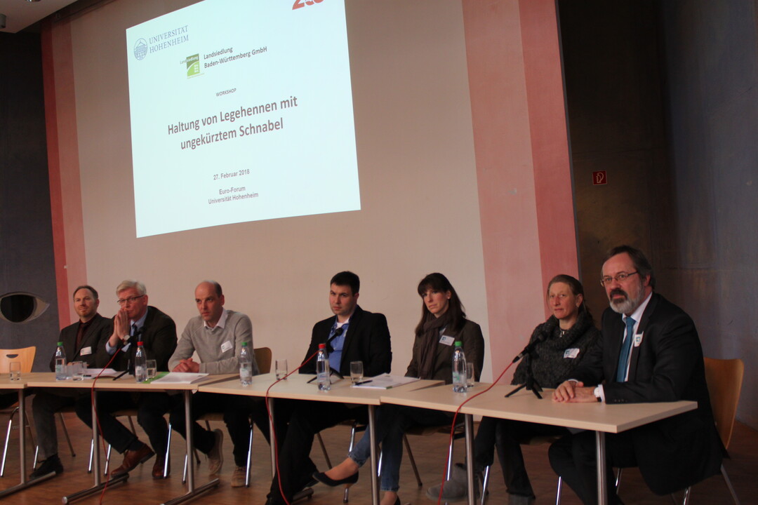 Posiumsdiskussion zum Abschluss des Projekts "Haltung unkupierter Hennen Baden-Wrttemberg" mit Daniel Kmmerling/Hochschule Osanbrck, Dr. Bernhard Habe/Verbeek, Legehennenhalter Georg Heitlinger, Ren Roux/Landratsamt Karlsruhe, Dr. Christine Rckert/MLR, Dr. Christina Popp/Geflgelgesundheitsdienst Baden-Wrttemberg und Robert Pottgter/Lohmann Tierzucht (v.l.)