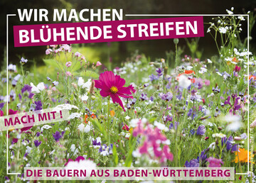 Auf einer Flche von 22.000 Fuballfeldern sen Bauern Blhmischungen als Insektenfutter aus und bieten seit diesem Jahr Blhpatenschaften fr Jedermann an, um die Blhflchen noch auszuweiten.