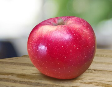 „HOT84A1“ ist ein rotschaliger, knackiger und saftig-süßer Apfel, der nach Angaben von T & G Global tolerant gegenüber hohen Temperaturen und starker Sonneneinstrahlung sein soll.