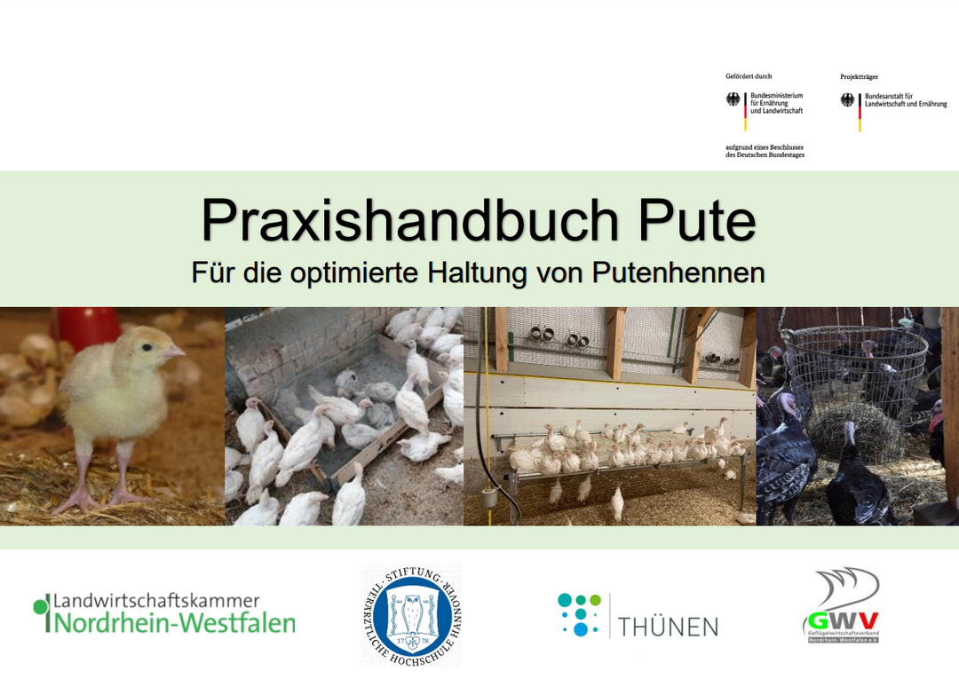 Für die optimierte Haltung von Putenhennen: Das Praxishandbuch Pute ist jetzt erschienen.
