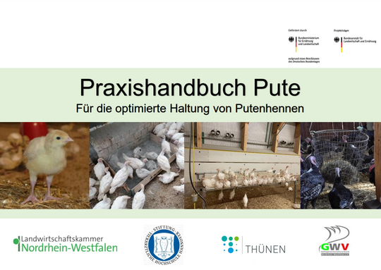 Fr die optimierte Haltung von Putenhennen: Das Praxishandbuch Pute ist jetzt erschienen.