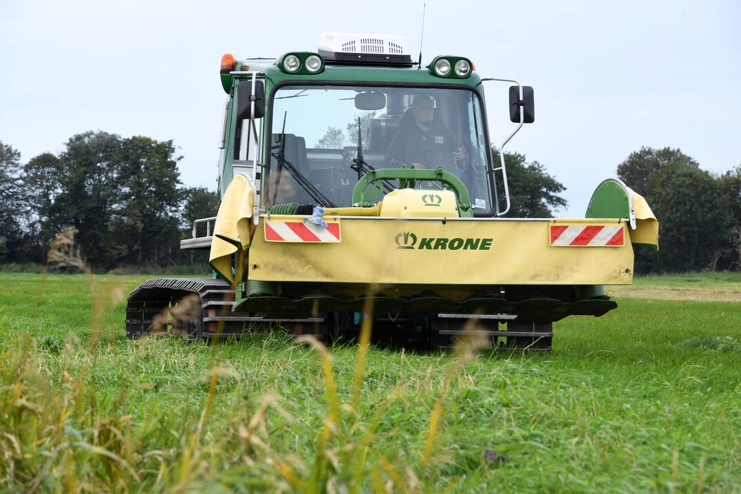 Mit Förderung des Landes investierten Petris in eine eigens umgebaute Moorraupe, mit der die Böden schonender befahren und beerntet werden können.