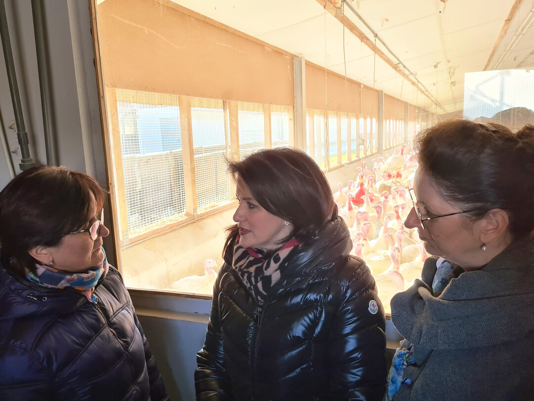Staatsministerin Michaela Kaniber (mitte) und Tierhaltungspräsidentin Christine Singer (rechts) besuchten schwäbischen Putenbetrieb Asum.
