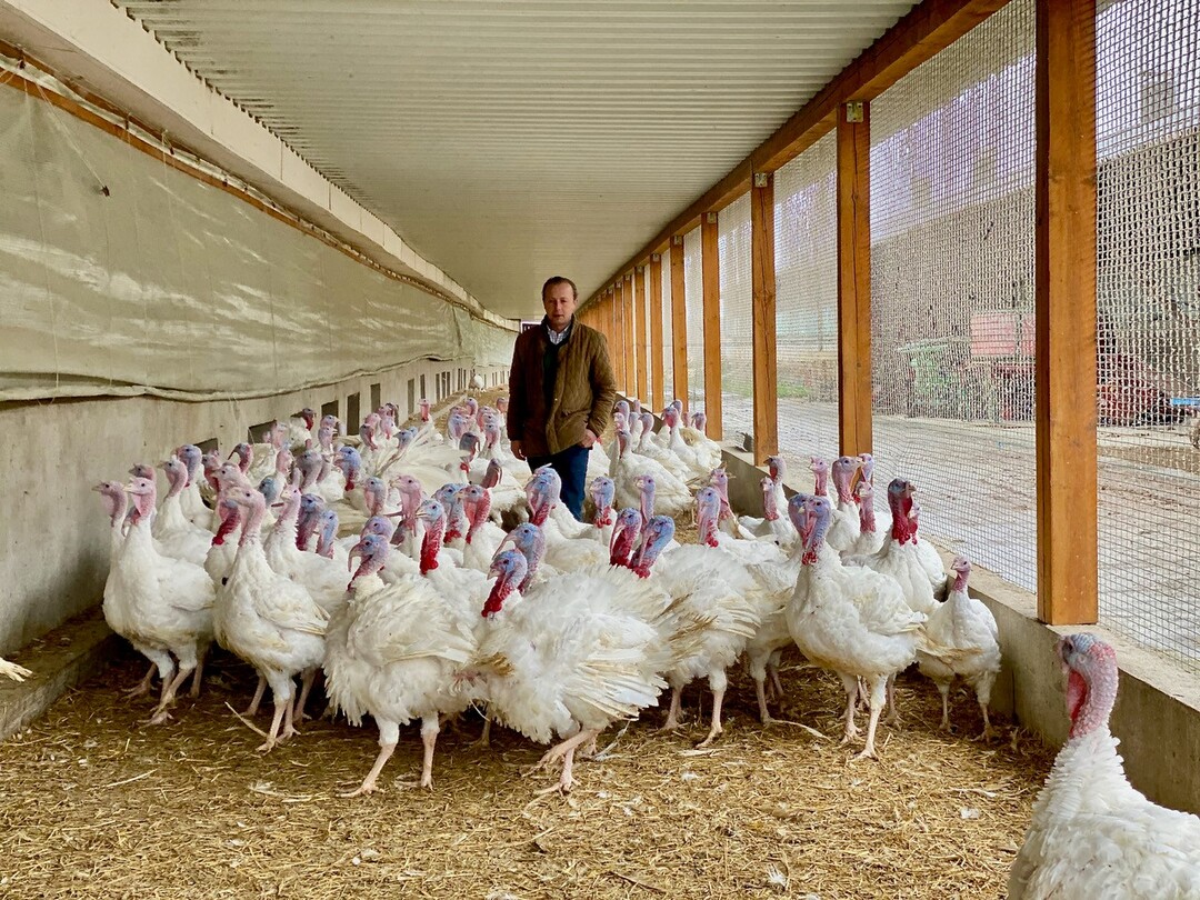   Landwirt Eben von Racknitz betreibt Putenmast mit Tierwohl-Standard und hat eine klare Haltung zu kologischer und konventioneller Landwirtschaft. 