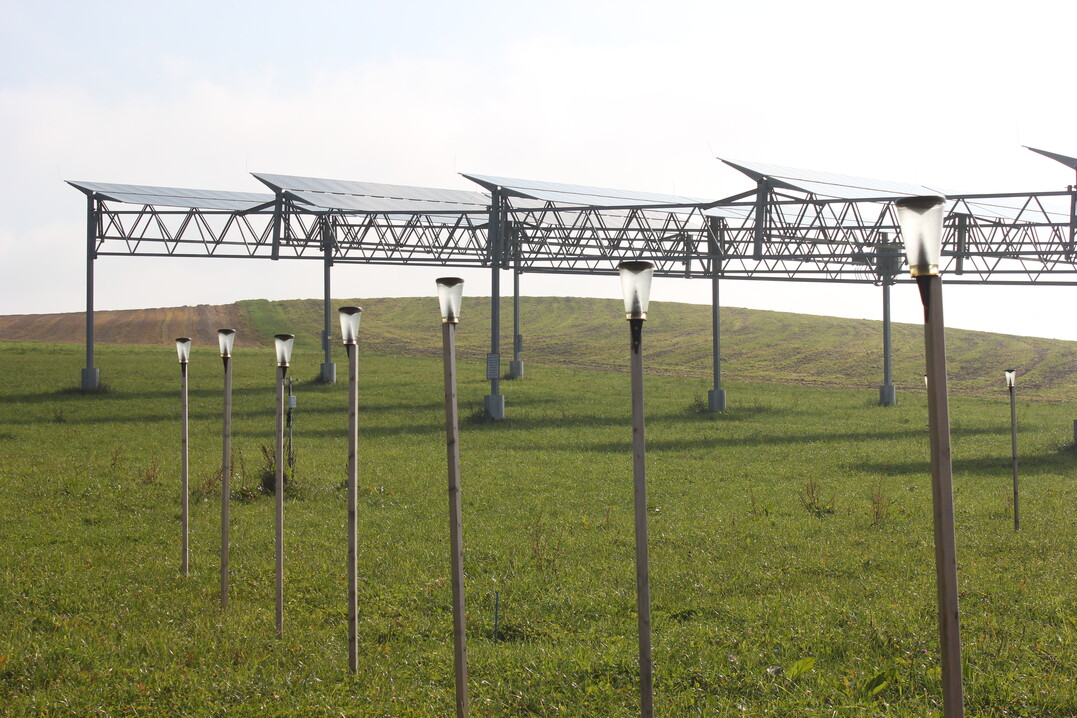 Zum Versuch z�hlt auch die freie Fl�che neben der Anlage, die zum wissenschaftlichen Vergleich von �berbauter und nicht-�berbauter Fl�che dient.&nbsp;